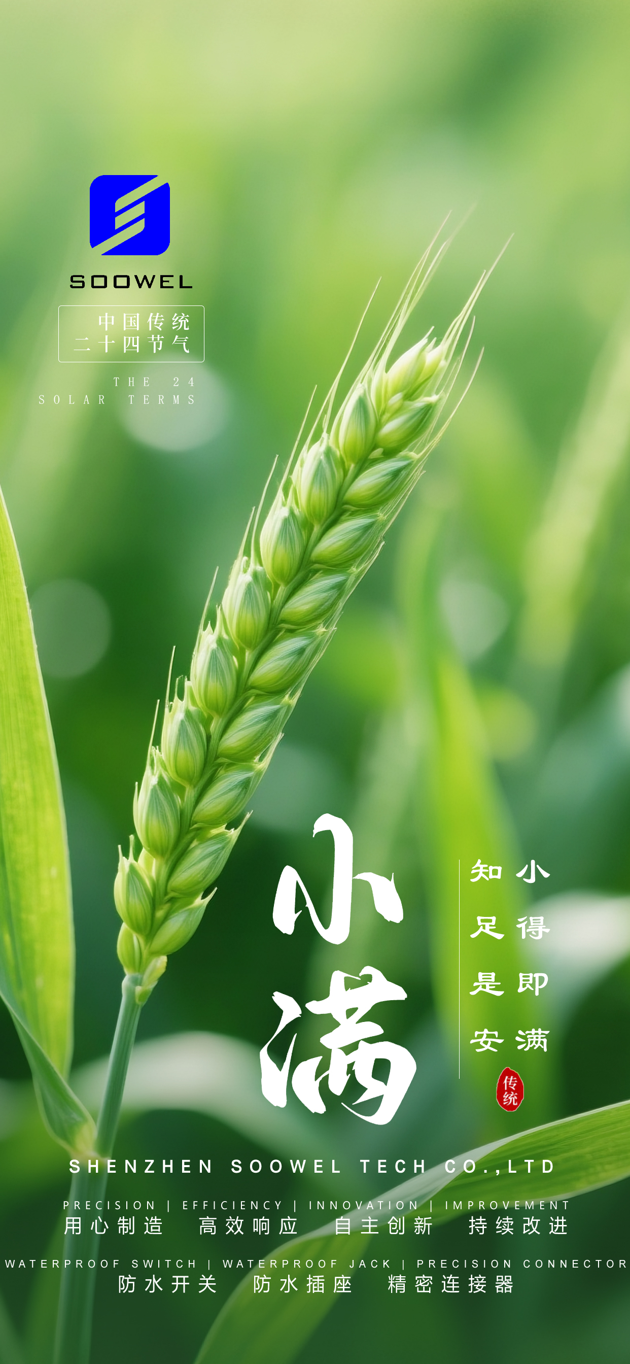 2025小满.jpg